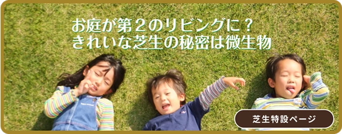 お庭が第２のリビングに?きれいな芝生の秘密は微生物