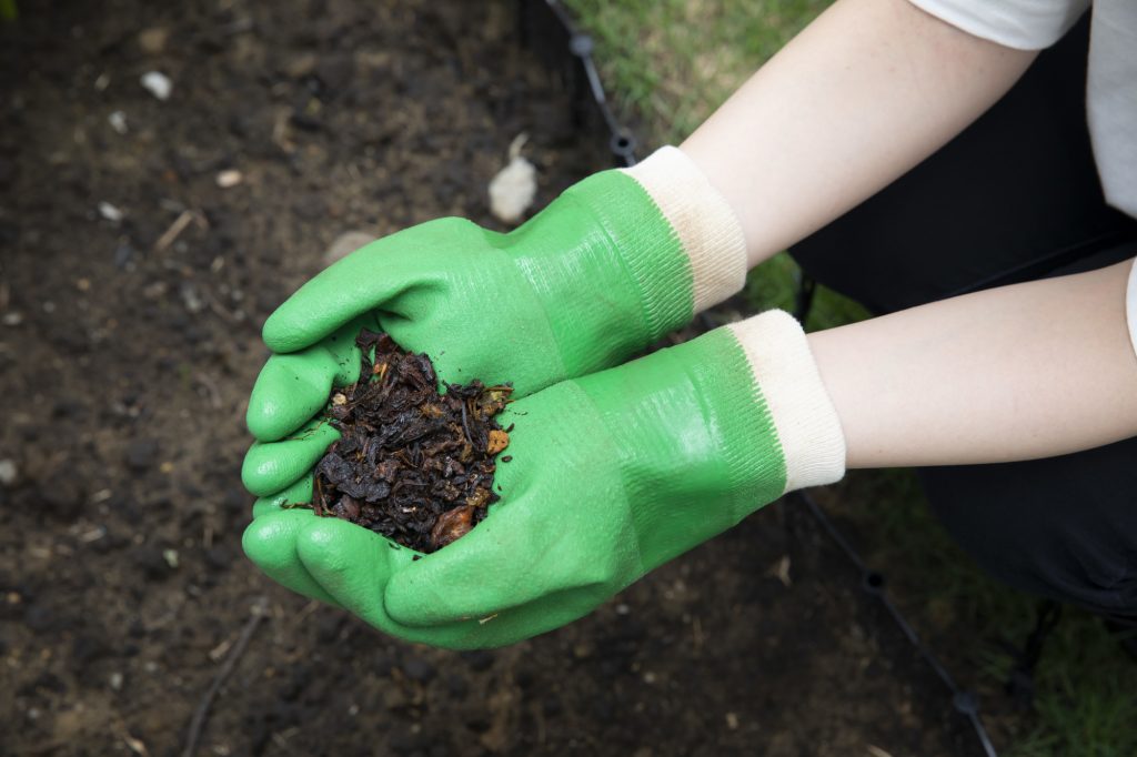 生ゴミコンポストを成功させるための注意点とコツ