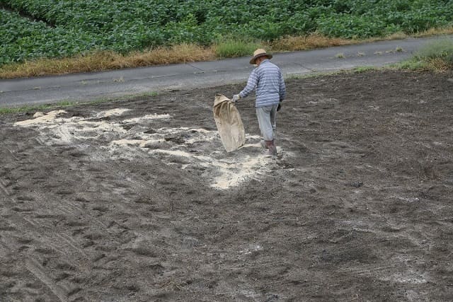 【籾殻堆肥】米ぬかの効果・使い方とは?籾殻の構造も解説