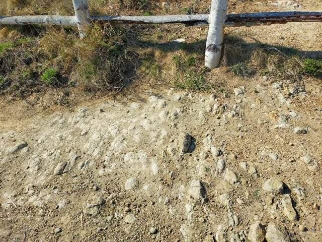 【芝生の土作り】カチカチの土や粘土質の土は不向きなのか?