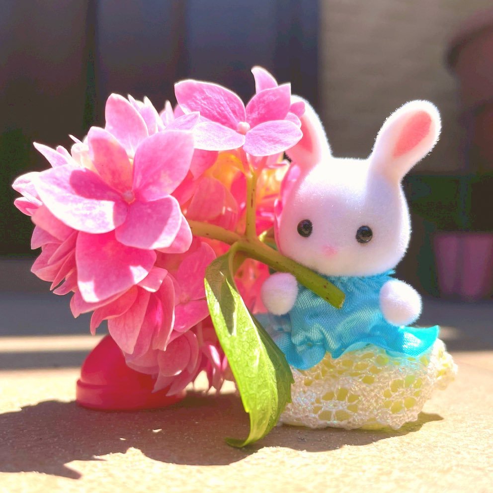 chi__popo.hana