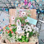 oto.no.hana