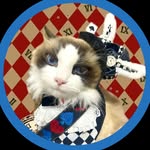 gabriel_oswald_cats