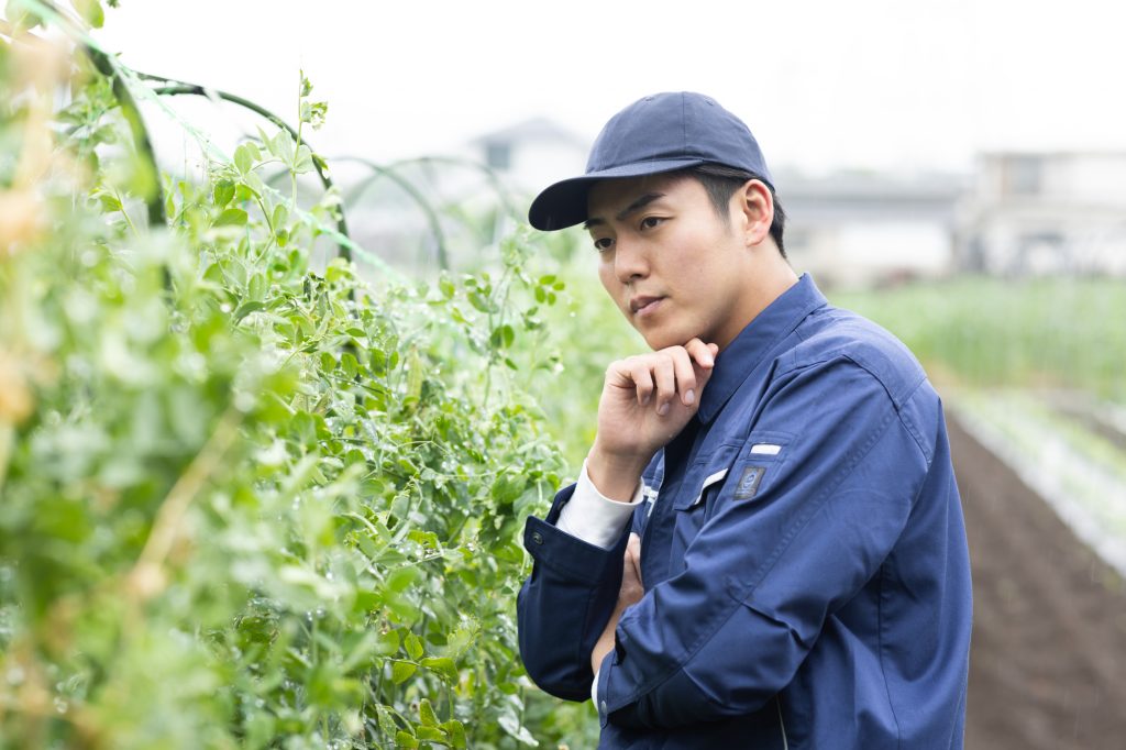 時期別実践ガイド！畑の土づくりのポイントをチェック