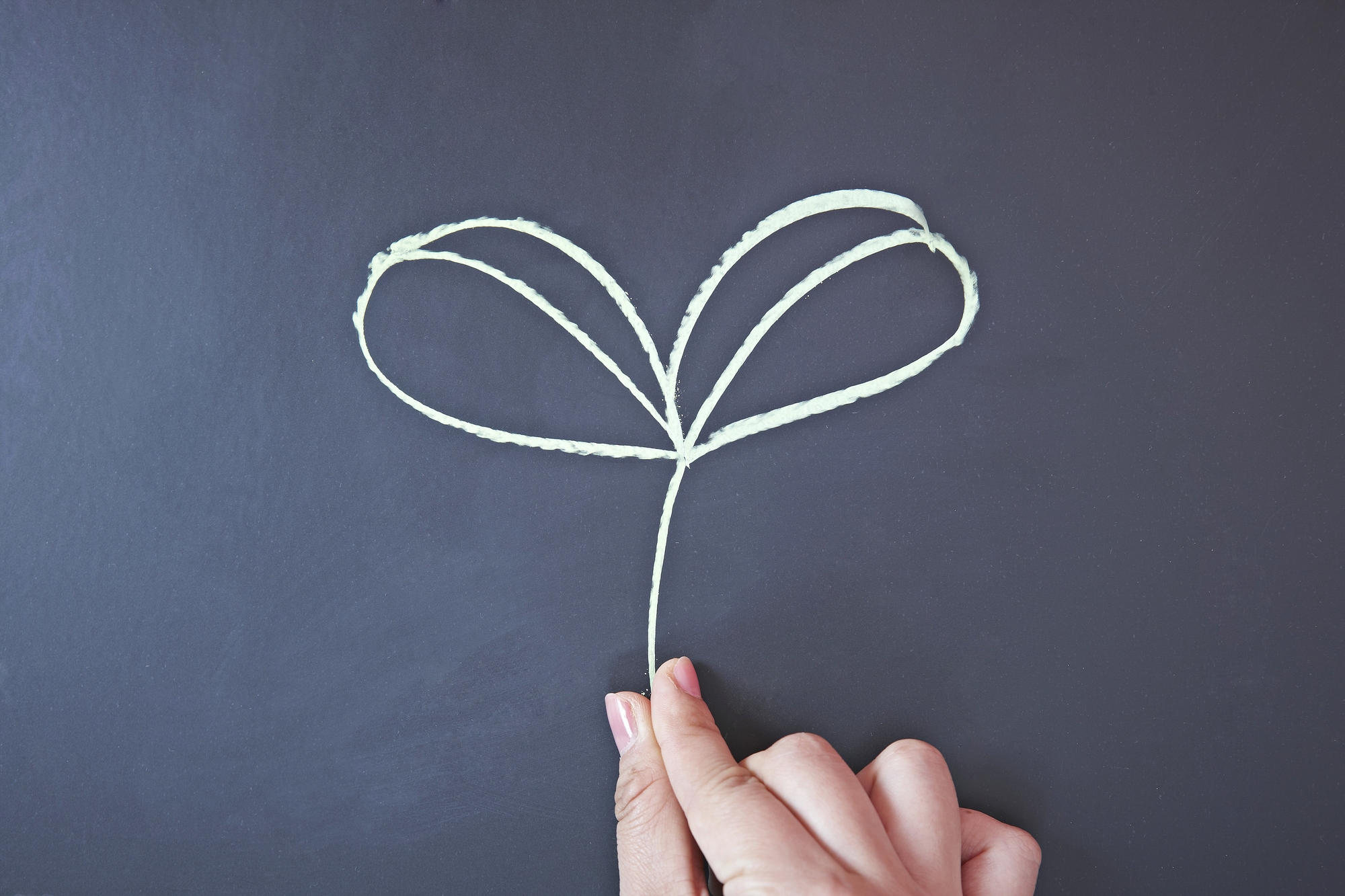 初心者必見！畑の土づくりの基本、「肥料」を学び直そう