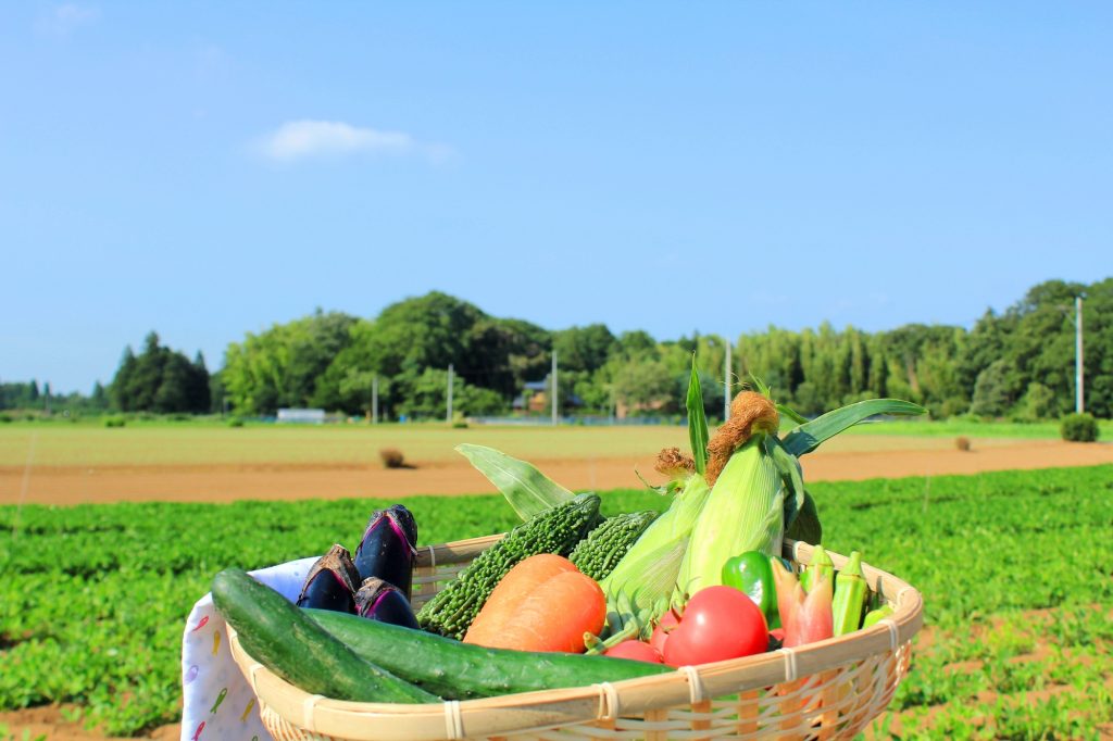 適切な時期を知ろう！畑の土づくり年間スケジュール