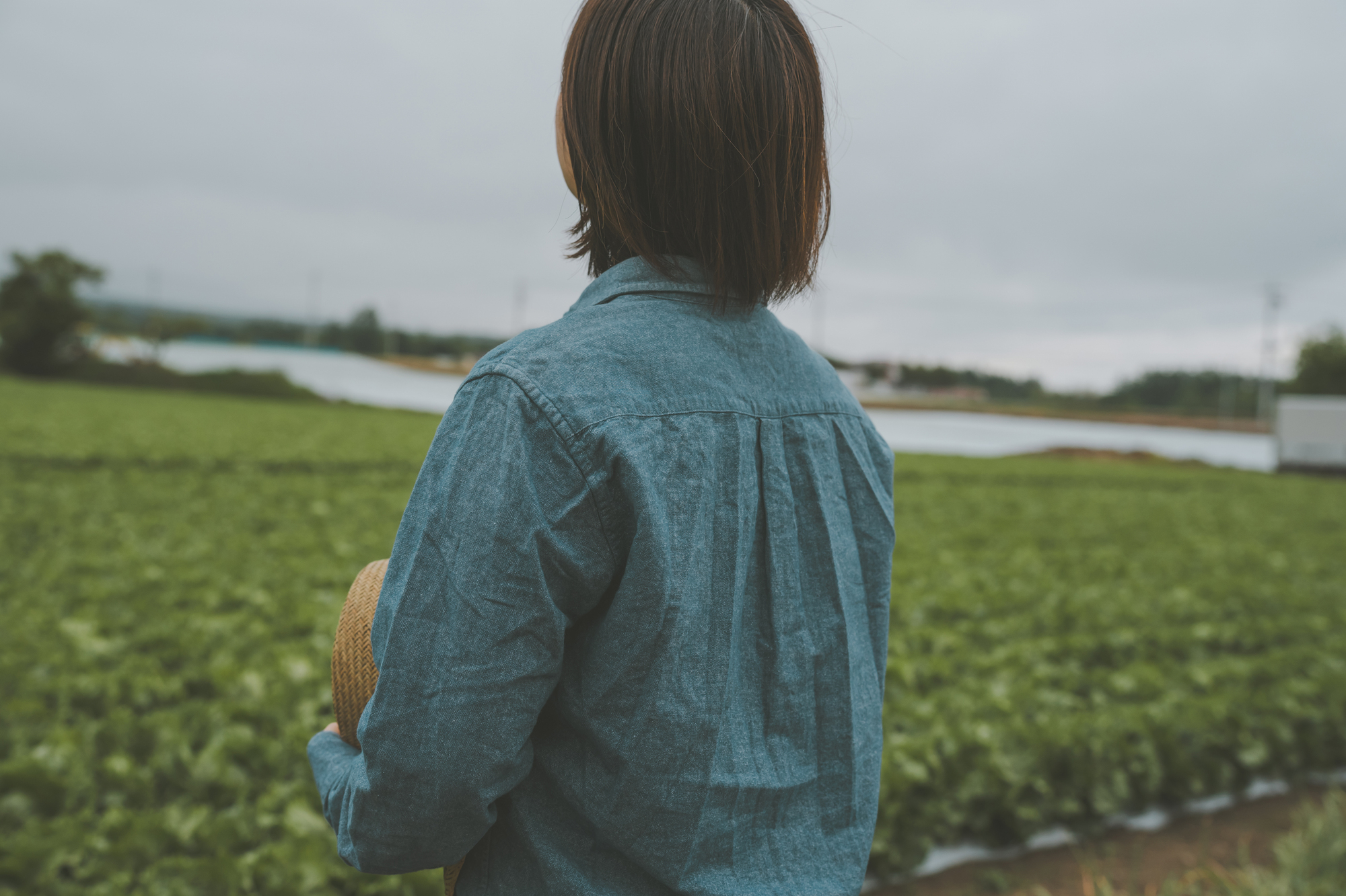 まとめ:化成肥料高騰は土づくりで克服。コスト削減を実現し、安定経営へ。