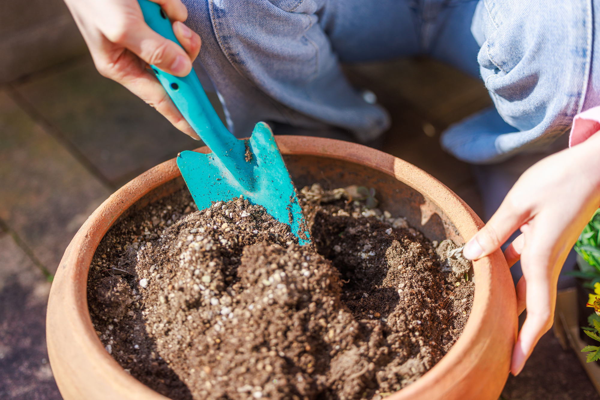 土選びに失敗したら?起死回生の土づくり方法