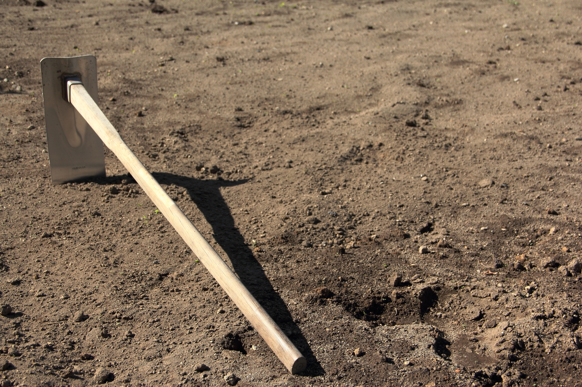 肥料価格高騰を乗り越える!化成肥料に依存しない土づくり