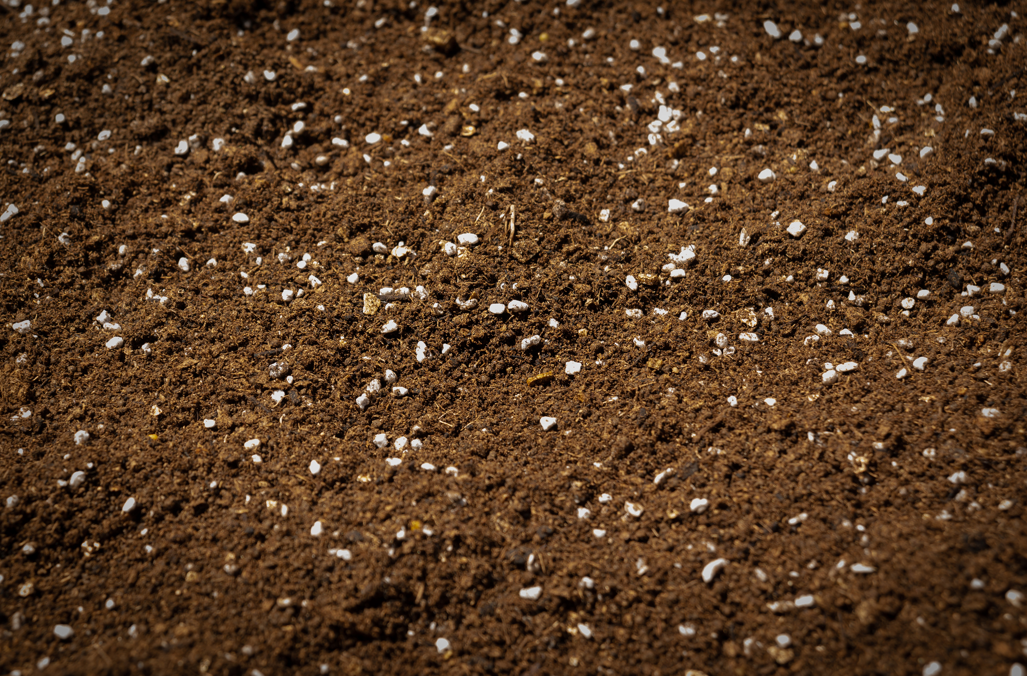 なぜ、今の土づくりでは微生物の「力」が必要なのか?