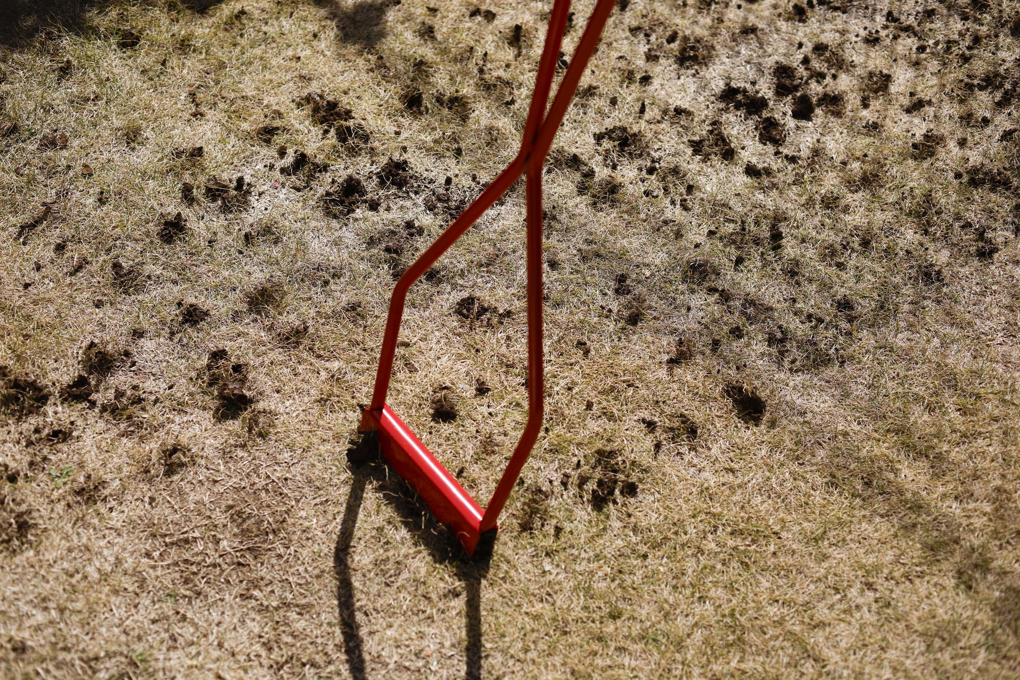 エアレーションの効果を最大化するために