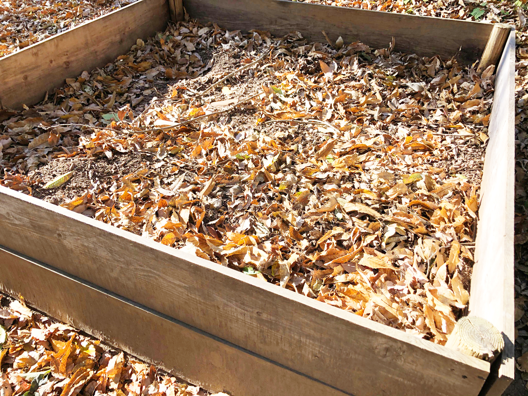 残さをムダにしない！発酵促進剤でつくる腐葉土と土の再生術
