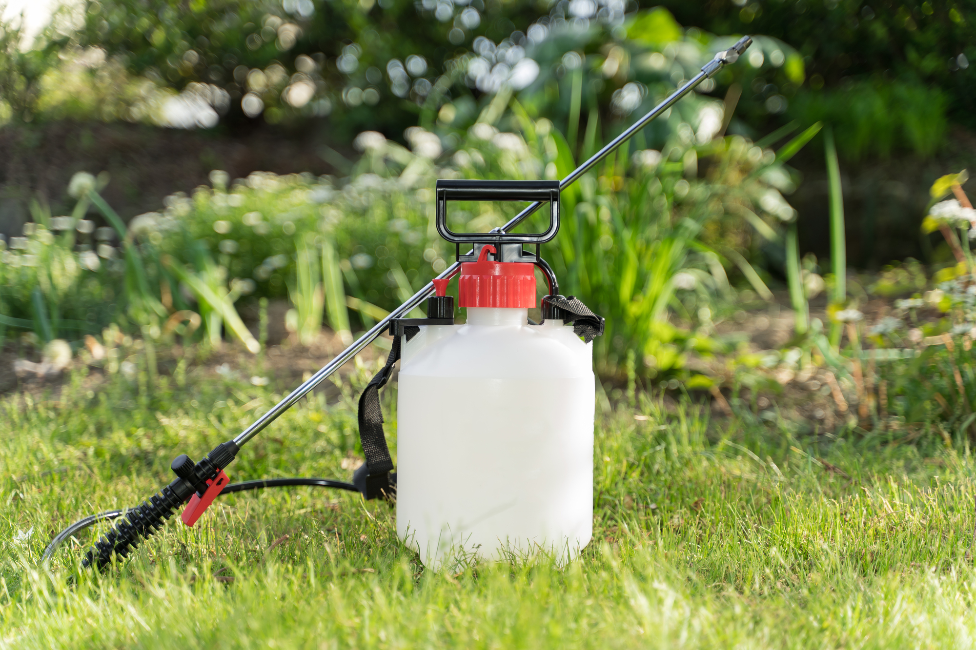家庭菜園での土壌消毒完全マニュアル｜カルスNC-Rで効率的に再生