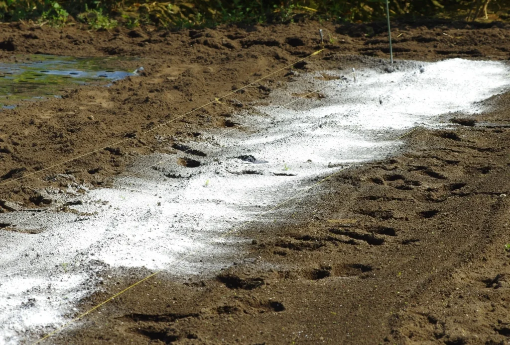 「とりあえず石灰」というセオリーの落とし穴