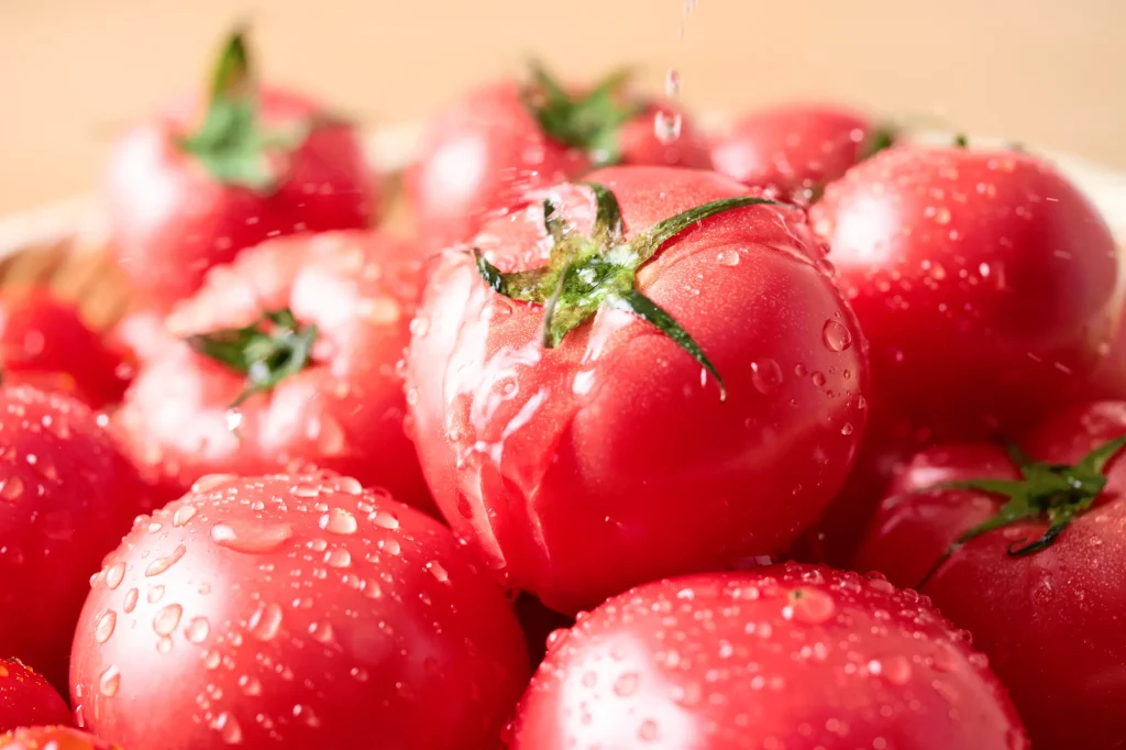 みずみずしいトマトをつくる「団粒構造」