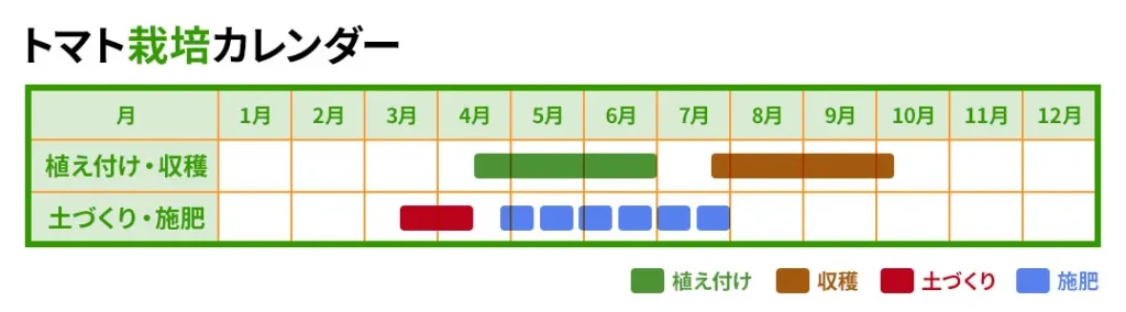【栽培カレンダー有】トマトの旬と収穫時期