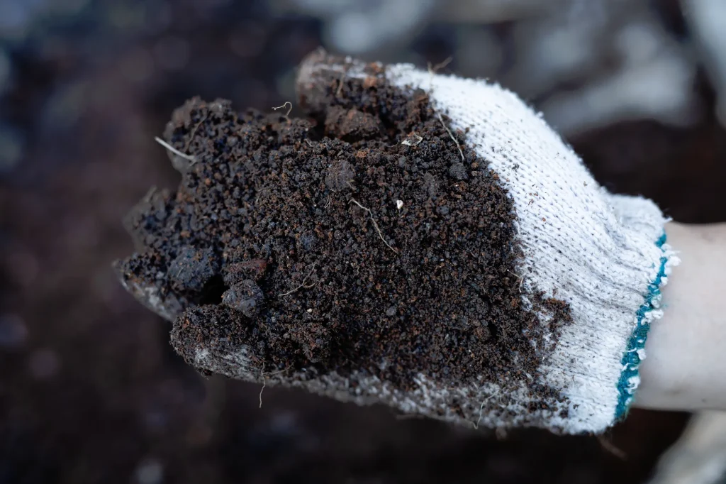 きゅうりに合った土づくりを実現する微生物資材