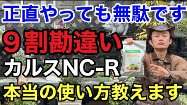 【掲載情報】カルスNC-Rが紹介されました。「カーメン君　園芸」