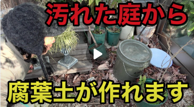 【掲載情報】カルスNC-Rが紹介されました。「カーメン君　園芸」