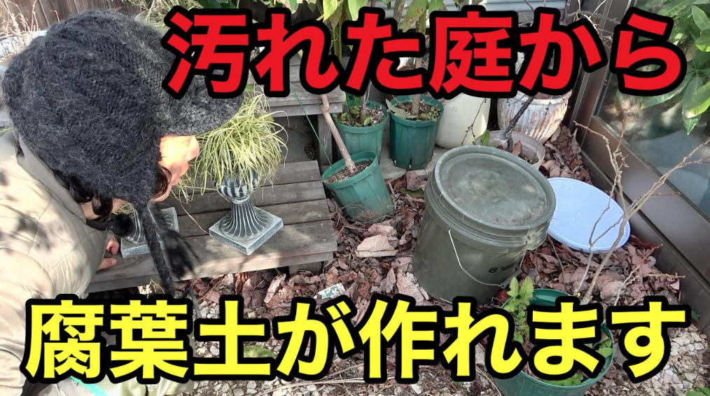 【掲載情報】カルスNC-Rが紹介されました。「カーメン君　園芸」