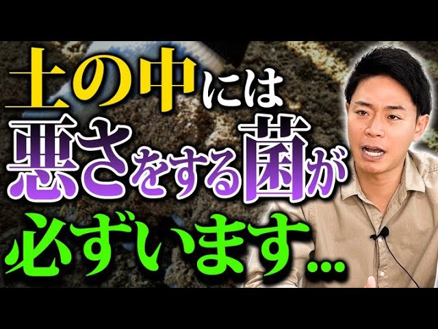 土づくり微生物資材を使えば全て解決！←全然そんなことはありません。。。結局大事なのは○○性が整った土にバランス良く菌がいるかどうかです！【家庭菜園 土づくり ガーデニング 土壌改良】