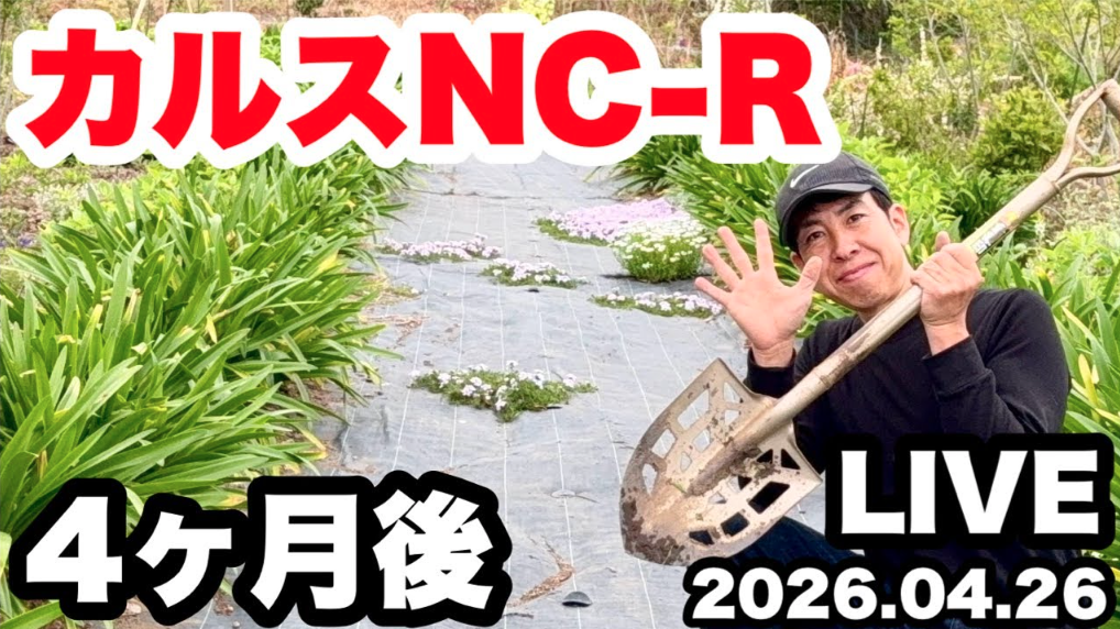 【掲載情報】カルスNC-Rが紹介されました。「やっちゃんねる様　園芸」