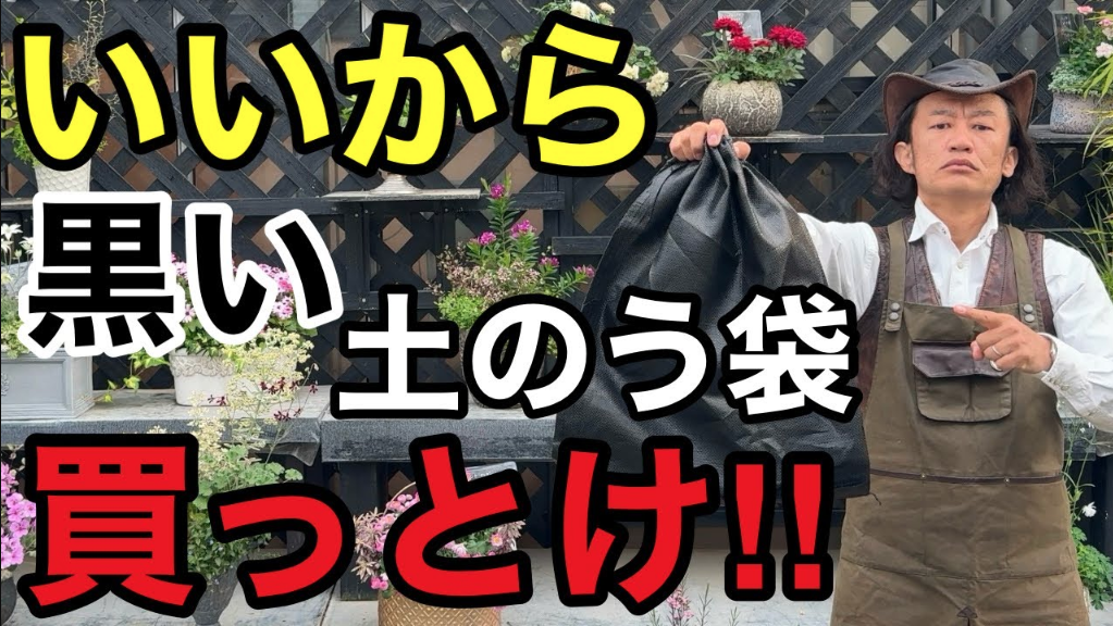 【掲載情報】カルスNC-Rが紹介されました。「カーメン君 園芸」