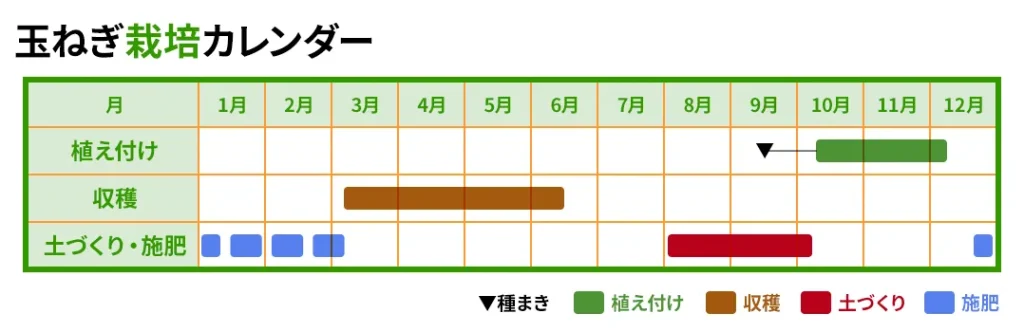 玉ねぎ栽培カレンダー。種蒔き、植え付け、収穫、追肥、そして土づくりの時期を色分けして視覚的に表示している