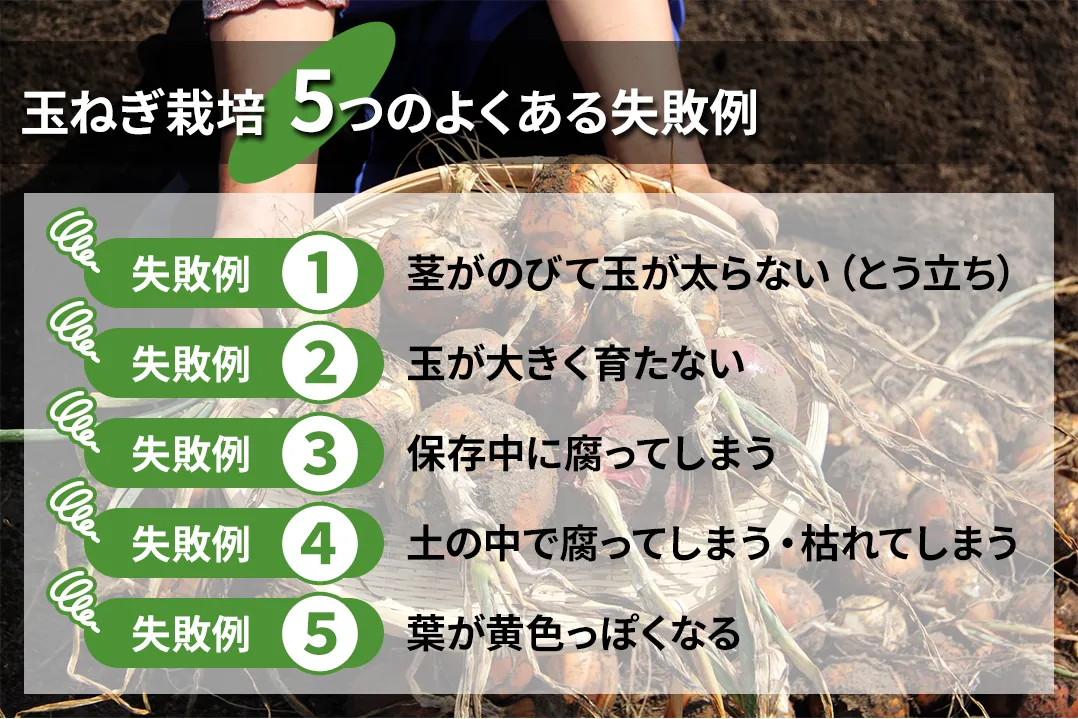 ありがちな失敗の一覧