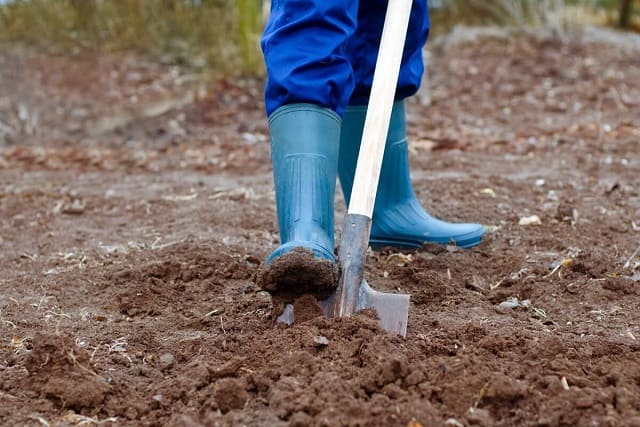 土壌改良で連作障害を防ごう 家庭菜園での連作被害や改善方法 土壌改良資材を販売するリサール酵産
