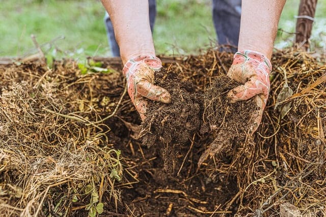 簡単にわかる家庭菜園の土作りで重要な腐葉土と堆肥の違い