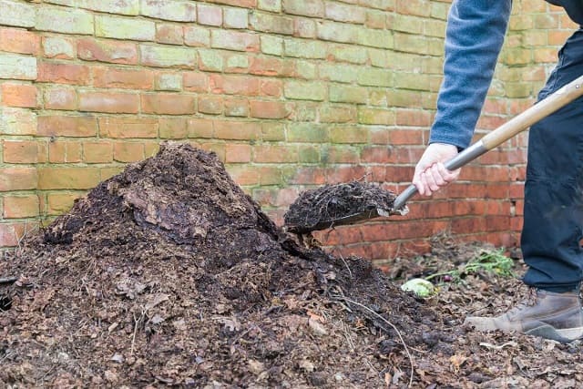 家庭菜園の土作りによく使われている腐葉土とは？