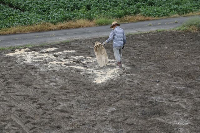 【籾殻堆肥】米ぬかの効果・使い方とは？籾殻の構造も解説