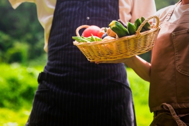 収穫された野菜を持っている人