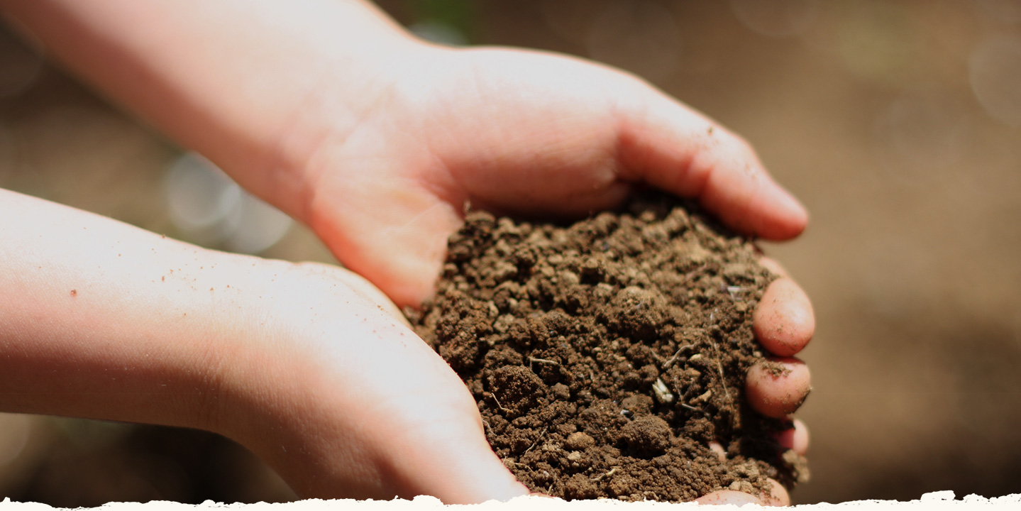 土壌改良や家庭菜園・畑の土作りにご活用いただける微生物資材・籾殻堆肥