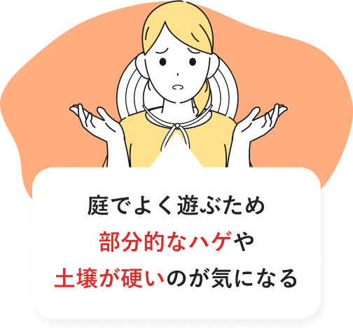 庭でよく遊ぶため部分的なハゲや土壌が硬いのが気になる