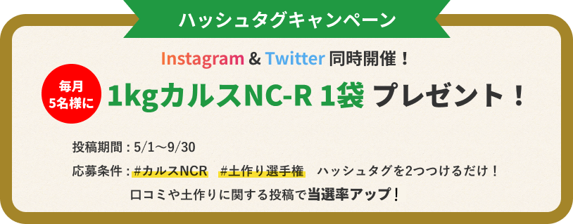 市場 カルスNC-R １ｋｇ：グラントマト
