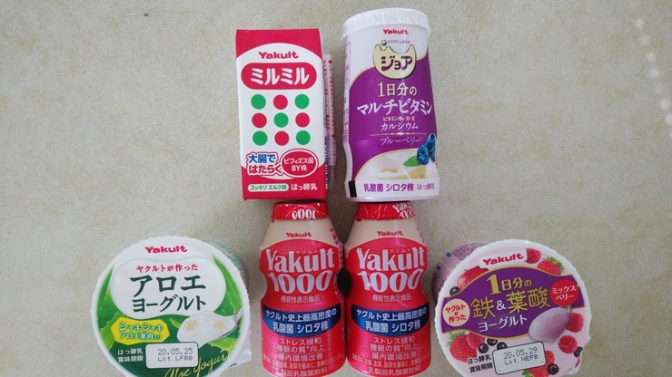 ヤクルト1.jpg