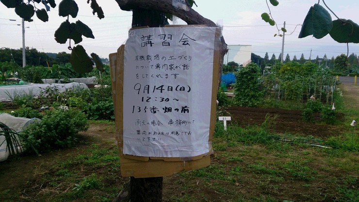 勉強会告知.JPG