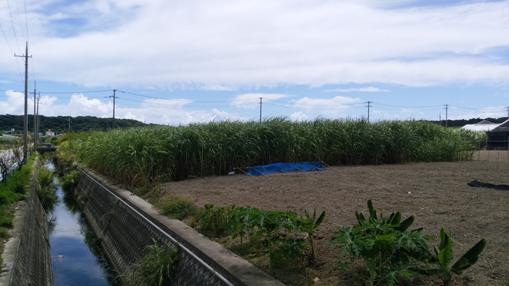 沖縄出張?.jpg