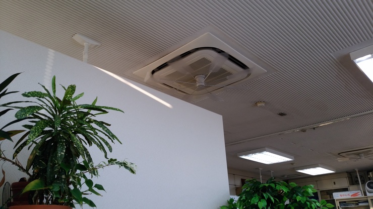 社内（大掃除）.jpg