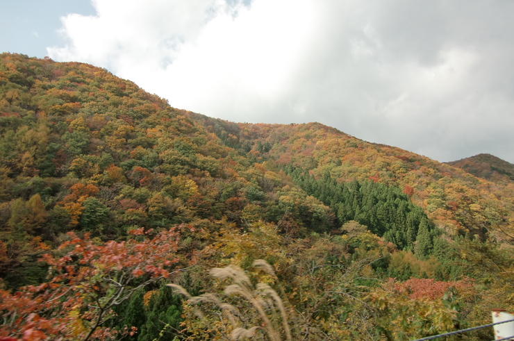 紅葉・東北.JPG