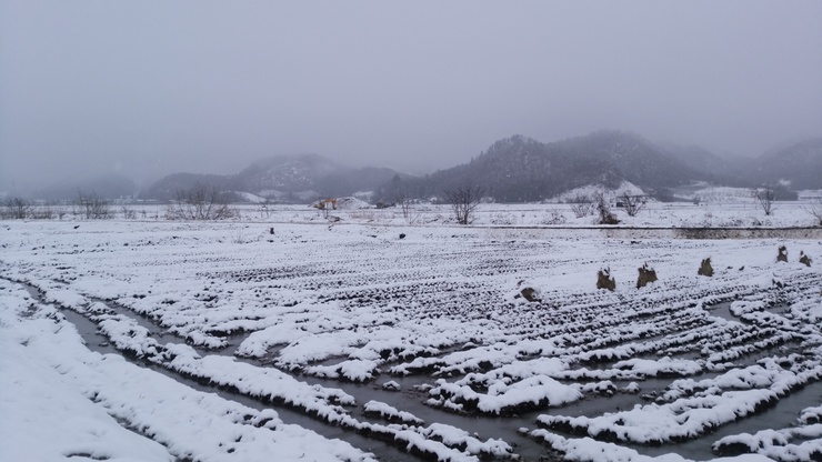 DSC_0112.jpg
