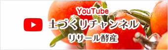 YouTube「土づくりチャンネル リサール酵産」